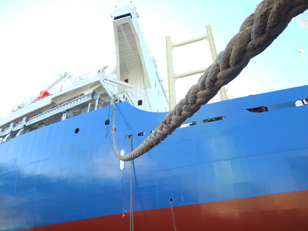 Bunker Fuel Oil Analysis Service